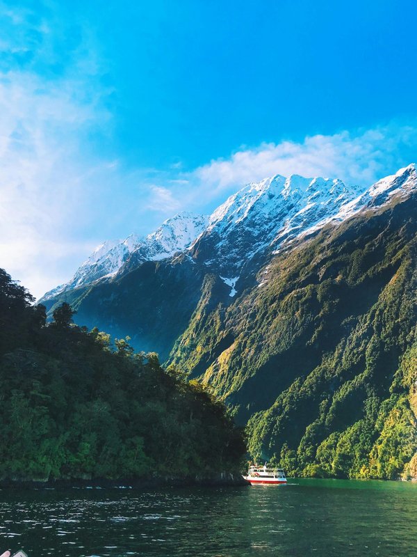 Entdecke milford sound: ein unvergessliches Fjord-Abenteuer